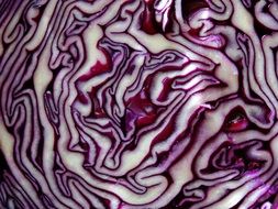 red Cabbage macro