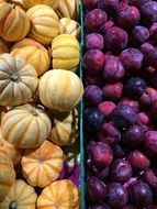 Picture of Pumpkins and Plums