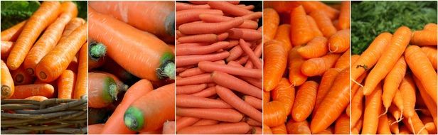 banner with carrots