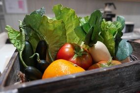 Plastic Vegetables