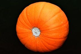 Orange fresh pumpkin
