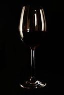 Picture of the wineglass