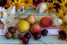 still life of peaches, cherries and flowers