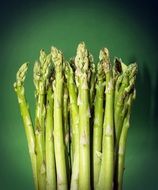green asparagus on the green background