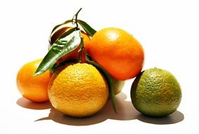 citrus Food