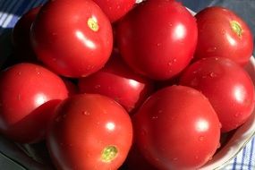 A plate of fresh washed tomatoes vegetables