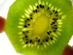 Green kiwi slice