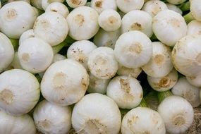 White Young Onions Vegetables