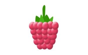 raspberry fruit graphic drawing