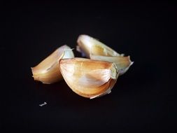isolated Garlic cloves