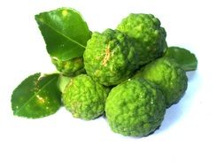 Bergamot Fruit Leaf Isolated on white desk