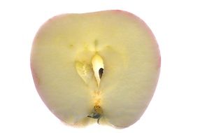 transparent slice of a ripe apple