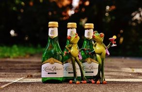 two girlish toy Frogs near Wine bottles