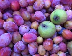 green apples lie on plums
