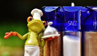 green frog cooks near spice jars