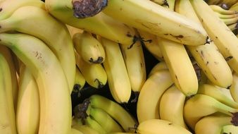 Bananas Ripe for sale close up