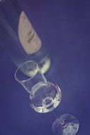 Brandy in Glass and bottle