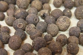 allspice close up