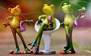 funny frogs at the party