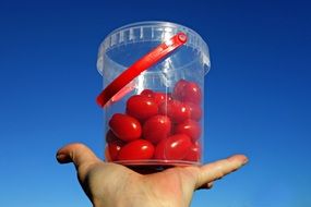 cherry tomatoes in a transparent bucket