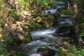 Water stream in the national park