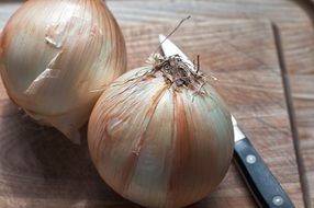 two large onions and a knife