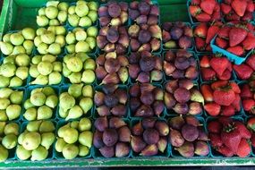 fruit boxes in the market
