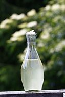 glass bottle filled with water