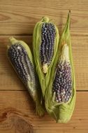three Blue corn spikes on wooden table