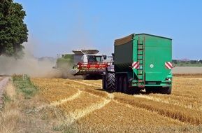 Harvest Cereals field Machines