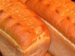 golden wheat bread