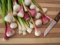 green onion and garlic on cutting board