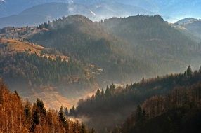 incredible beautiful landscape with mountains and forest