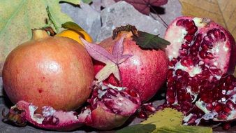 Pomegranates with the leaves