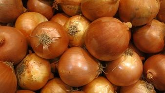 Onions