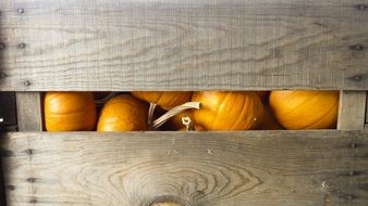 pumpkin in a wooden box