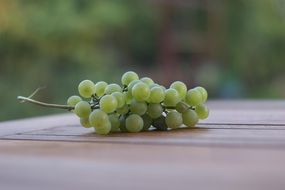 appetizing Grape Fruit