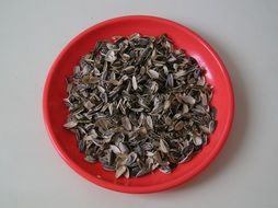 Sunflower Seeds in bowl