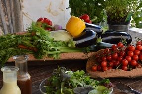 Eggplant, tomatoes, frisch and paprika