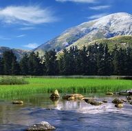 picturesque landscapes on a sunny day