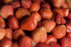 strawberry without tails