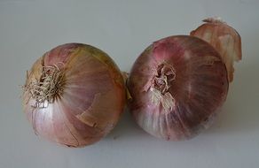 closeup picture of two onions