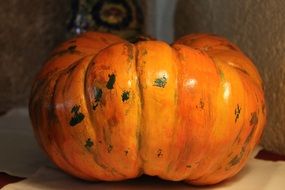 Squash Vegetable