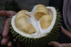 Durian Exotic Fruit macro