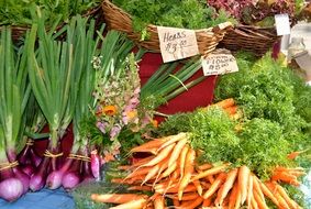 fresh vegetables on the counter in the market