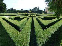 green maze in the park
