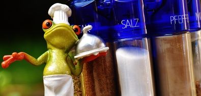 funny Frog figure Cooking Spices containers