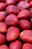 large picked strawberry close up