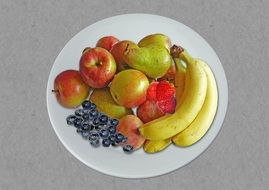 fruit plate on a gray background