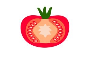 Cut in half tomato clipart